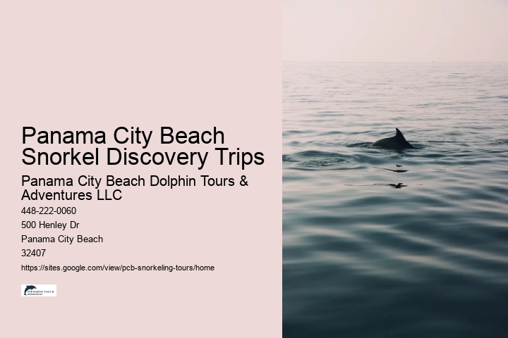 Panama City Beach Snorkel Discovery Trips