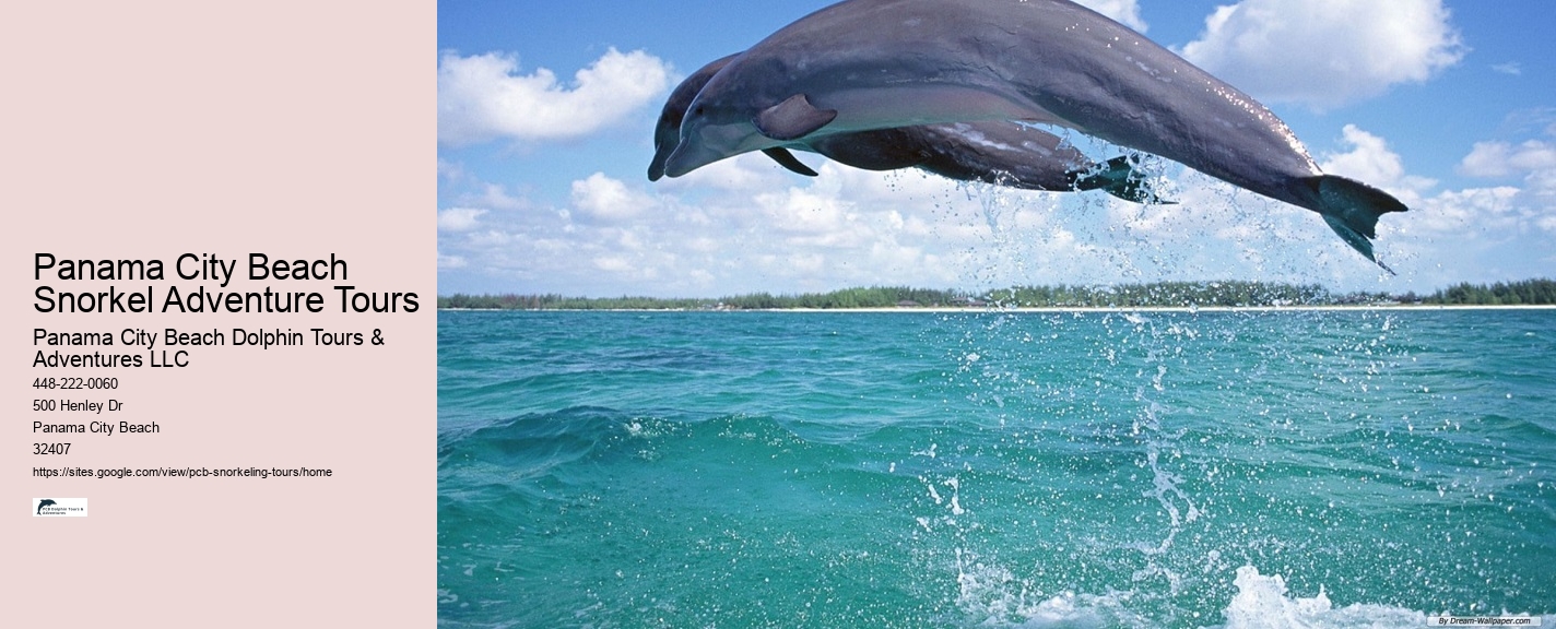 Panama City Beach Snorkeling Tours K Bay