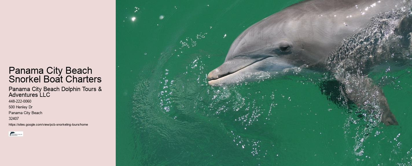 Panama City Beach Beach Snorkel Tour