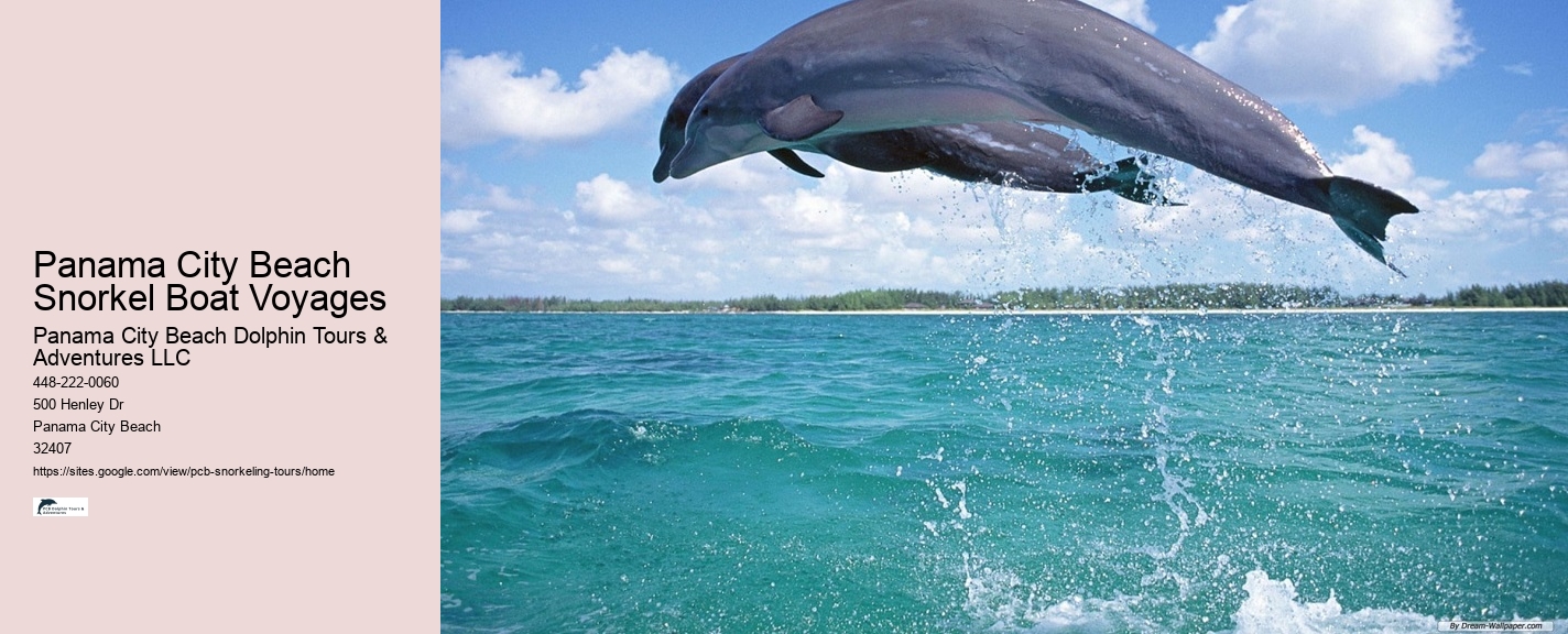 Panama City Beach Snorkeling Tours Rules