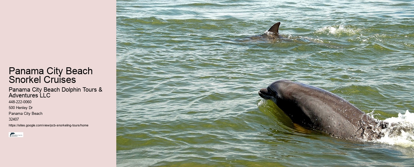 Panama City Beach Snorkeling Tours Jacksonville Fl