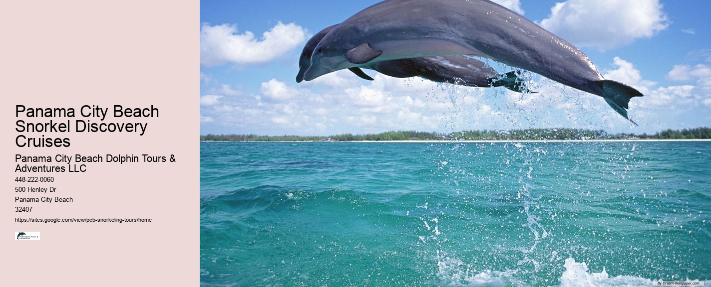 Panama City Beach Snorkeling Tours Kohler