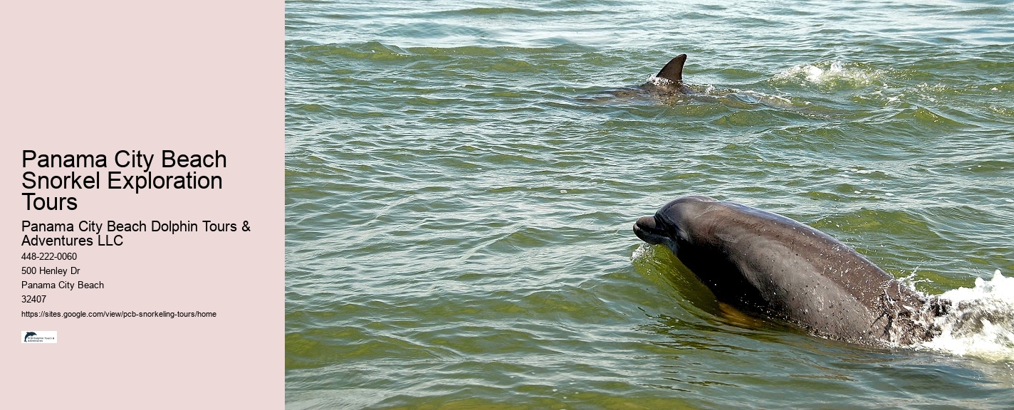 Panama City Beach Snorkeling Tours Rudy's