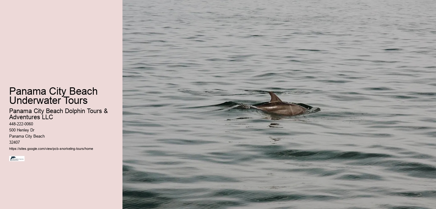 Panama City Beach Underwater Tours