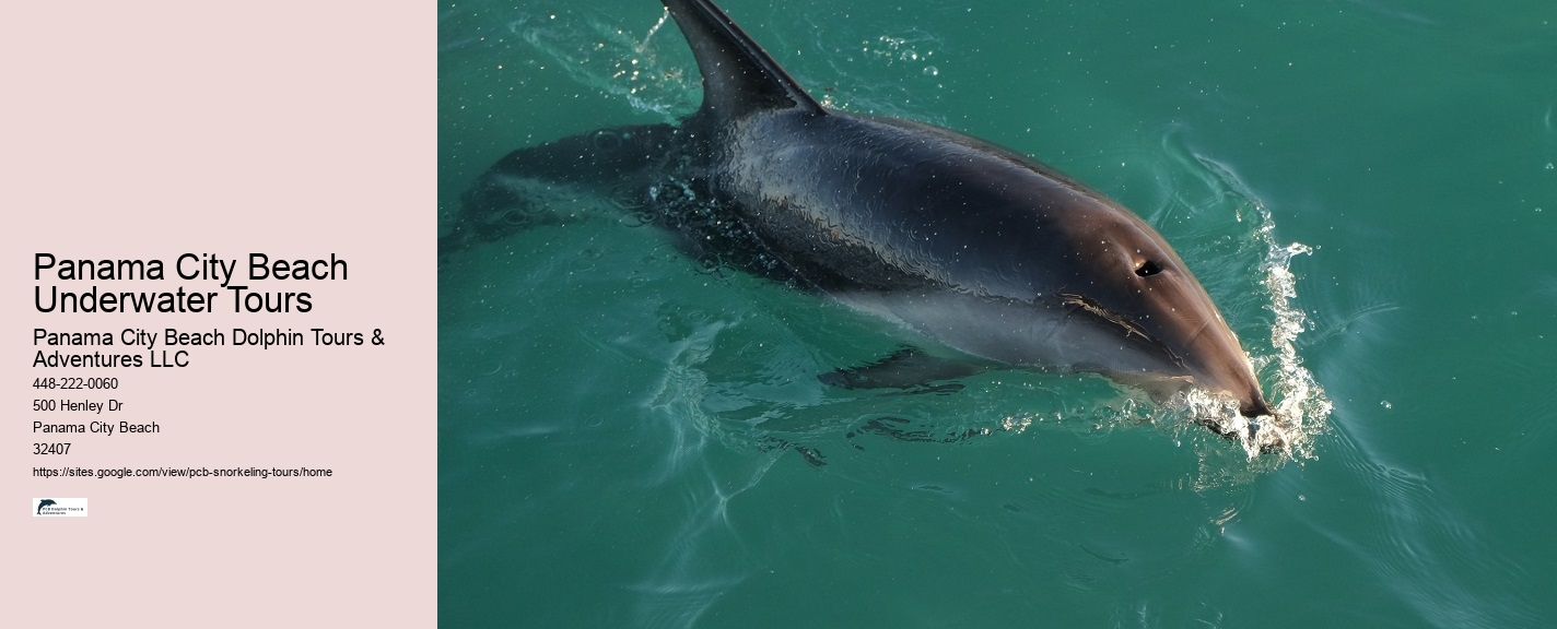 Snorkeling Charters Departing From Panama City Beach