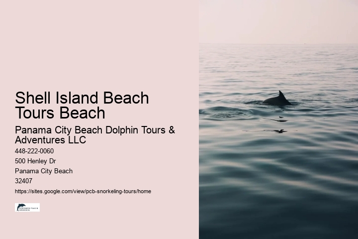 Shell Island Beach Tours Beach