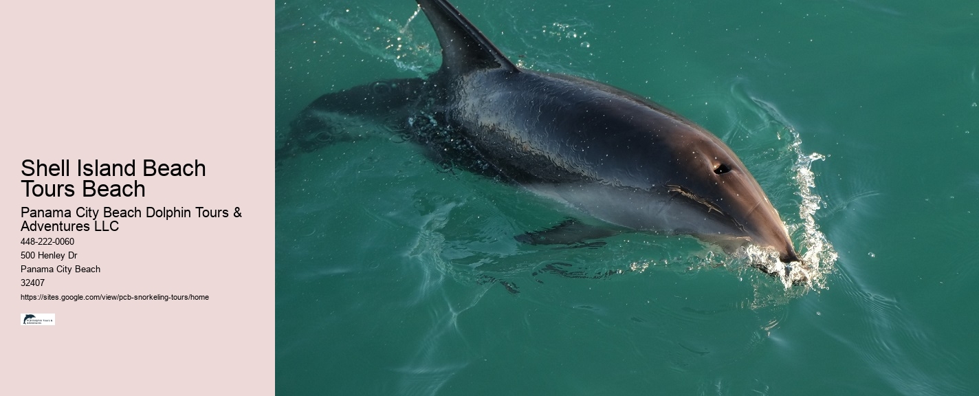 Panama City Beach Snorkeling Tour Warped