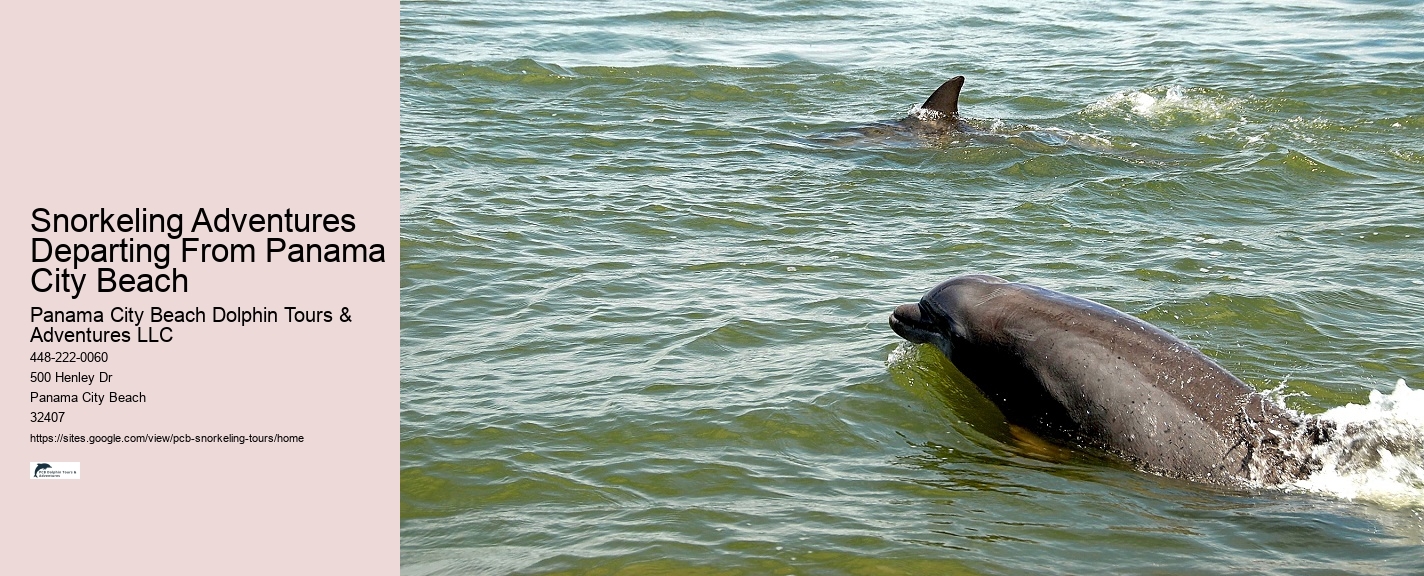 Panama City Beach Snorkeling Tours Catamaran