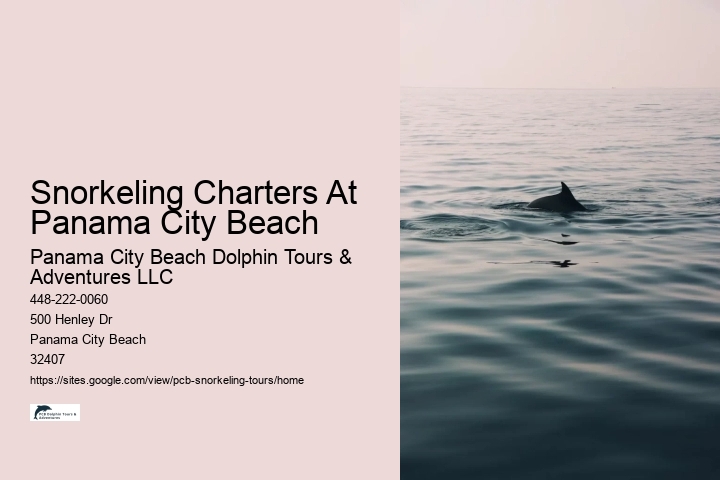 Snorkeling Charters At Panama City Beach