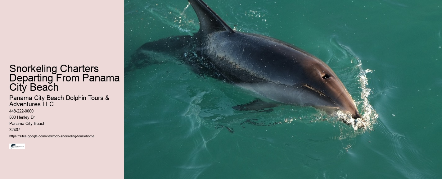 Snorkeling Adventures At Panama City Beach