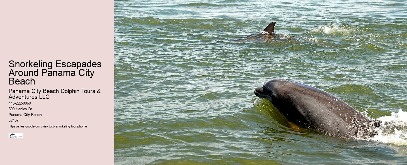 Panama City Beach Snorkeling Tours Museum