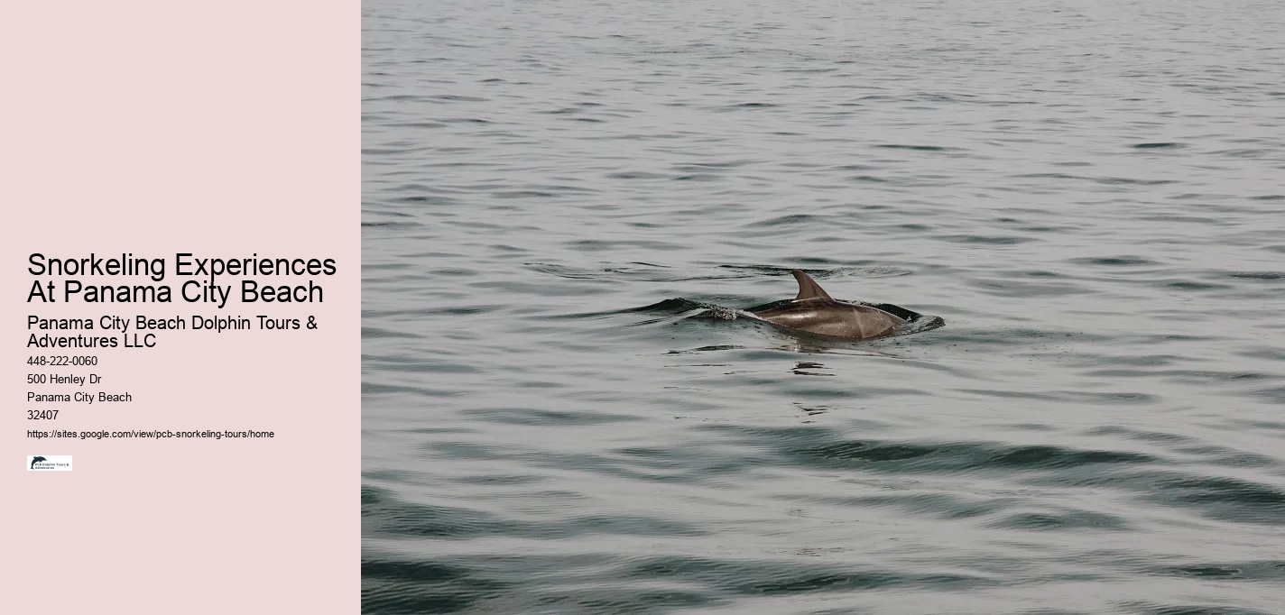 Snorkeling Experiences At Panama City Beach