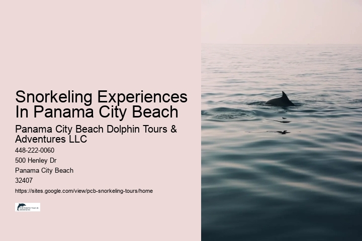 Snorkeling Experiences In Panama City Beach