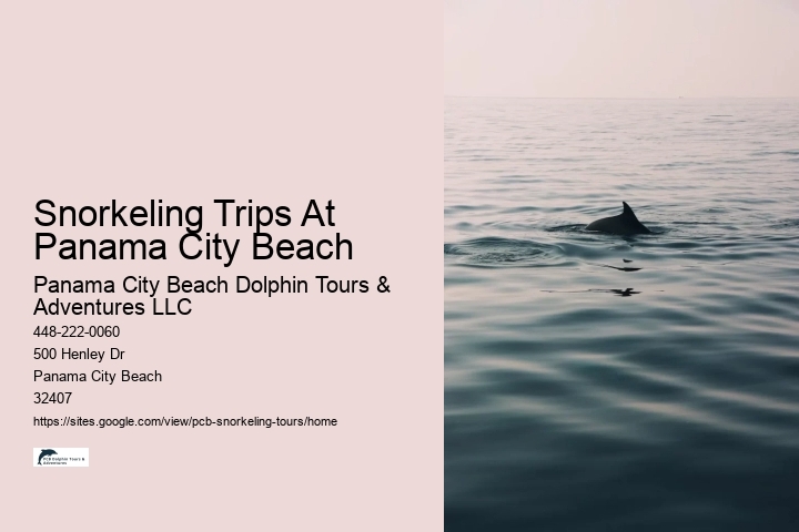 Snorkeling Trips At Panama City Beach